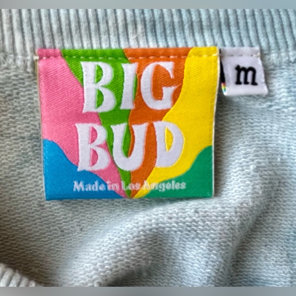 Big Bud Press Multicolor Logo Patch - image 3
